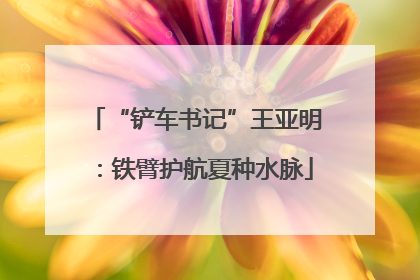 “铲车书记”王亚明：铁臂护航夏种水脉